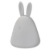asset-13021701_nightlux_rabbit_touch_usb_rgbw.jpg